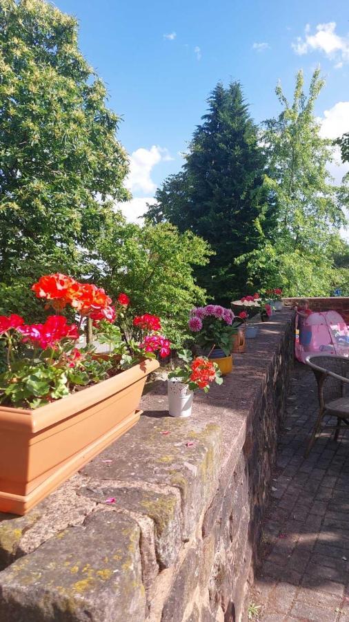 Privat Appartment Fockelberg Екстер'єр фото